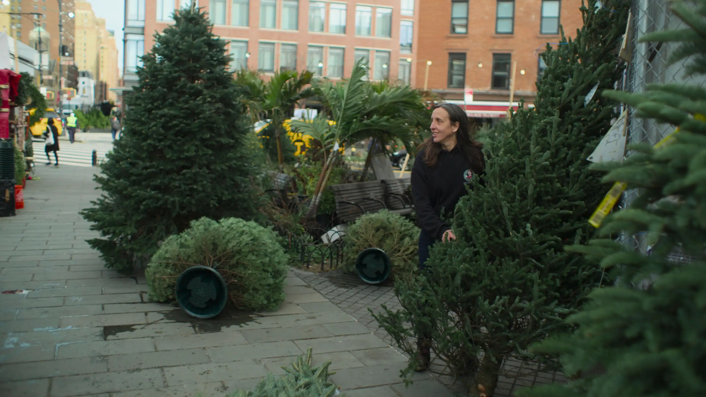 The Merchants of Joy Review: Heather Neville